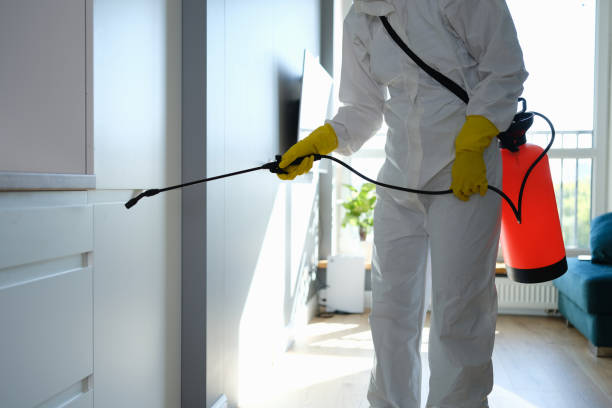 Best Best Mold Removal Companies  in Severna Park, MD